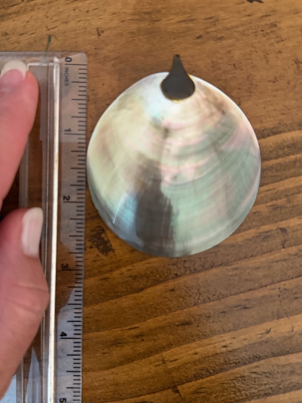 Shell pendant - Picture 5 of 6